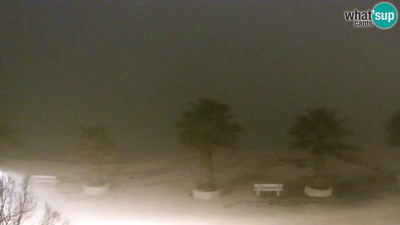 Webcam Vir – Spiaggia