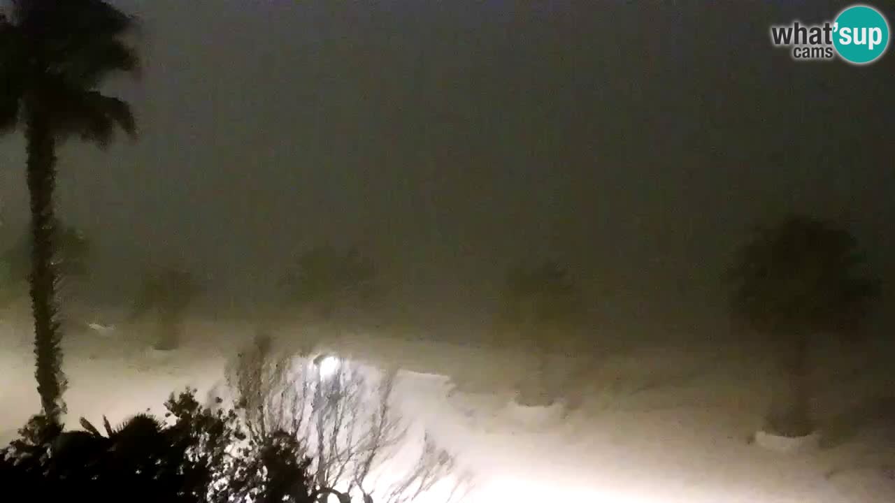 Kamera v živo Vir – Plaža