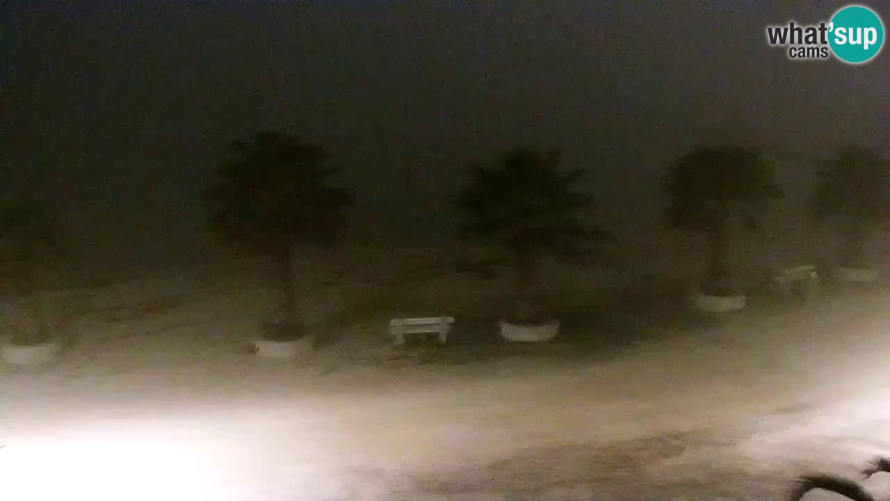 Live cam Vir – Plage