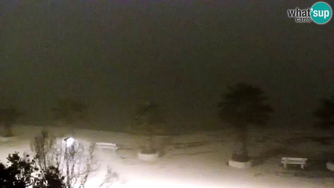 Webcam Vir – Spiaggia