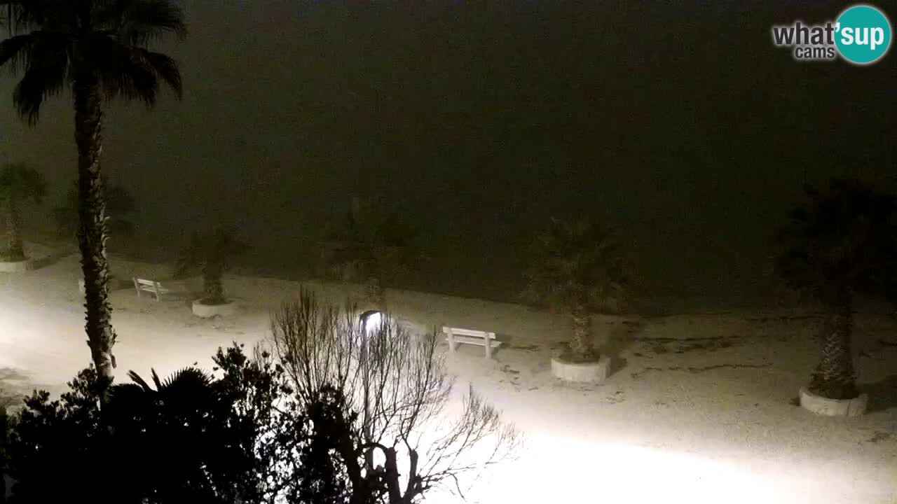 Live cam Vir – Plage