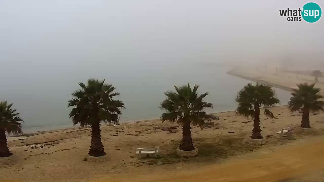 Live cam Vir – Plage