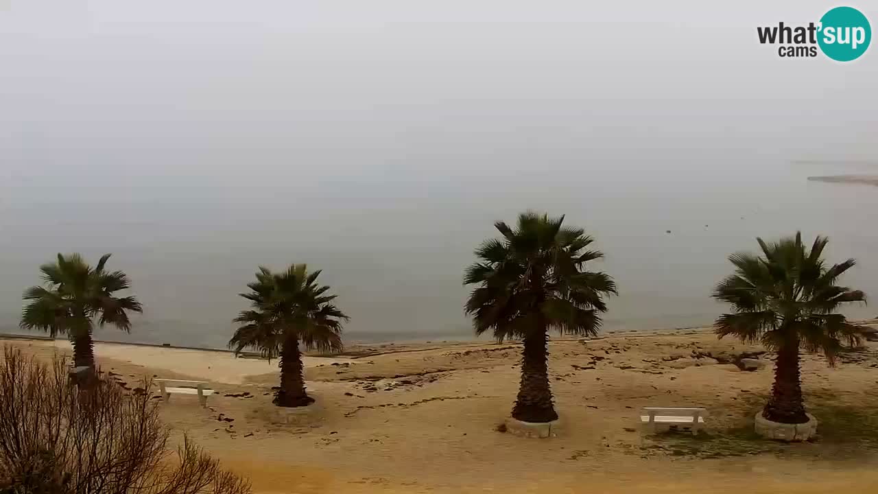 Live cam Vir – Plage