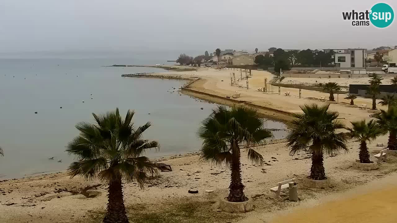 Live cam Vir – Plage