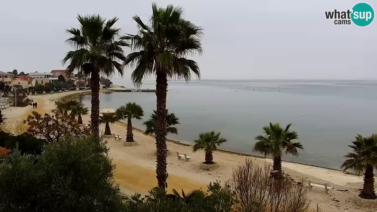 Kamera v živo Vir – Plaža