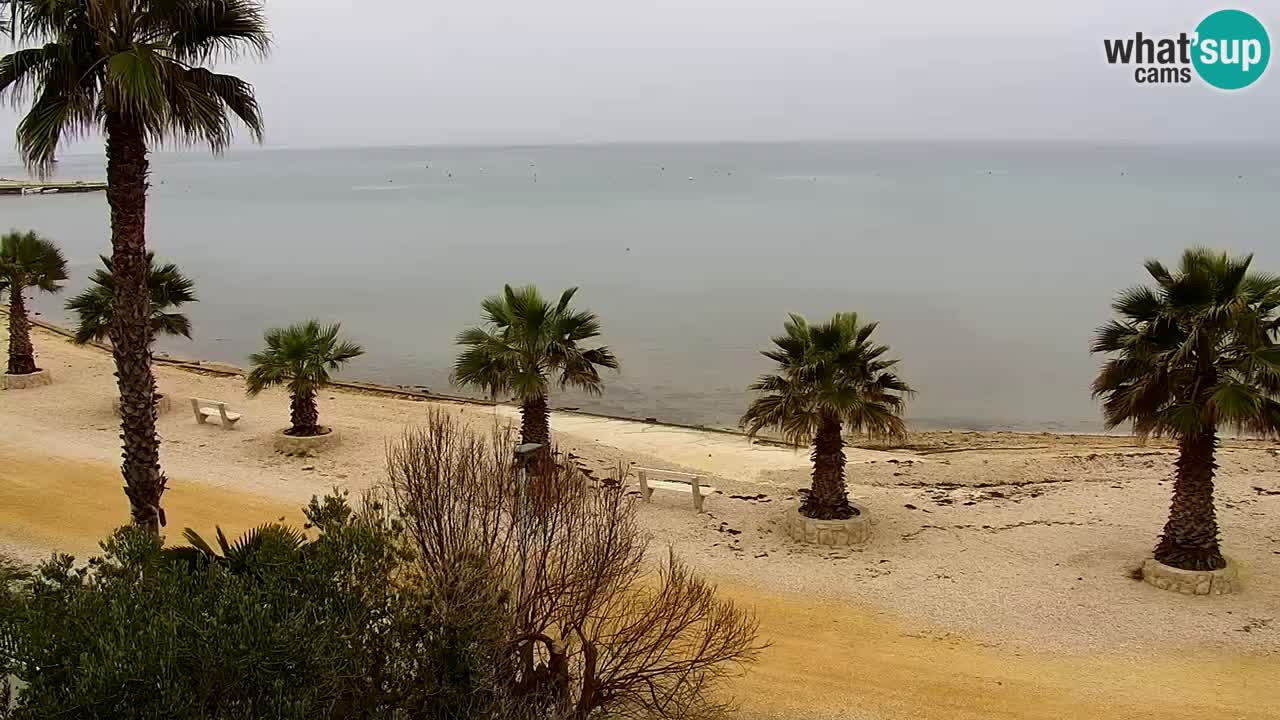 Web kamera Vir – Plaža