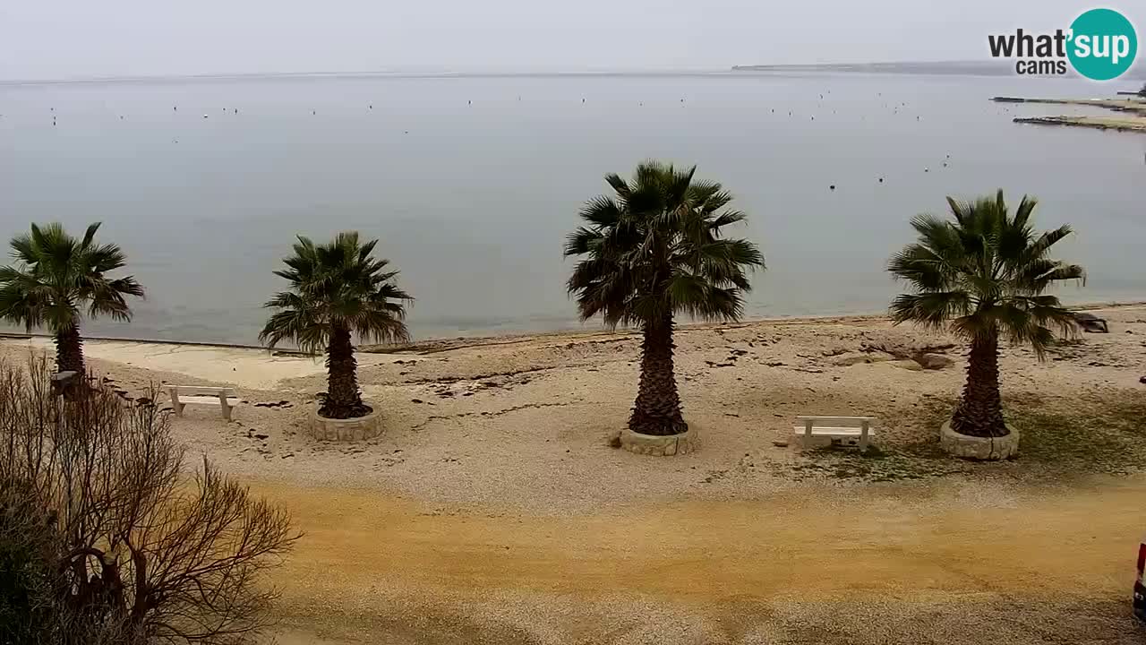 Camera en vivo Vir – Playa