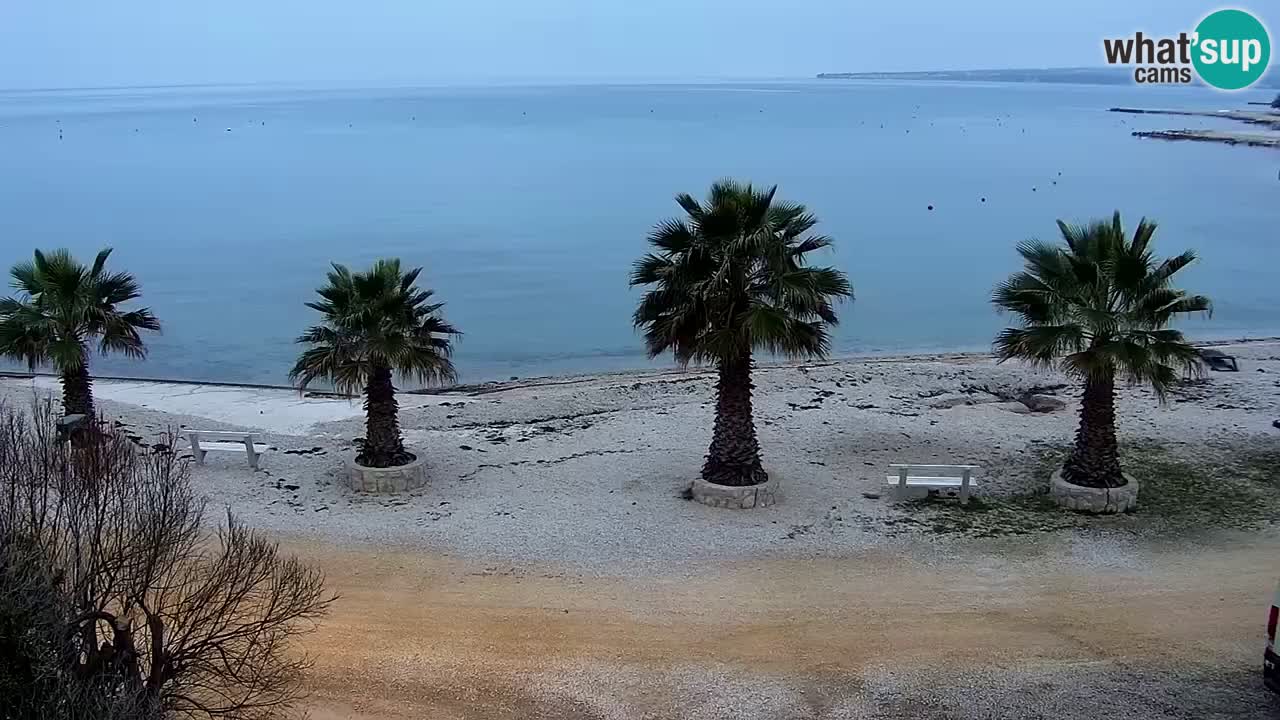 Webcam Vir – Spiaggia