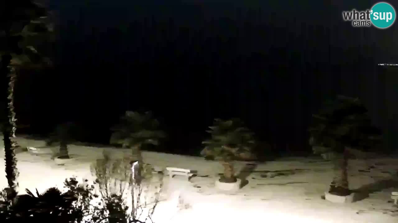 Web kamera Vir – Plaža