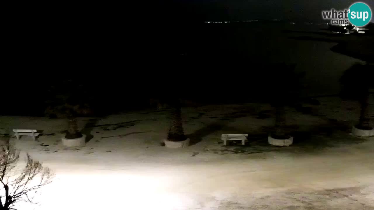 Webcam Vir – Strand