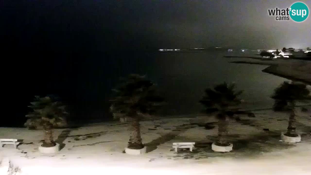 Live cam Vir – Plage