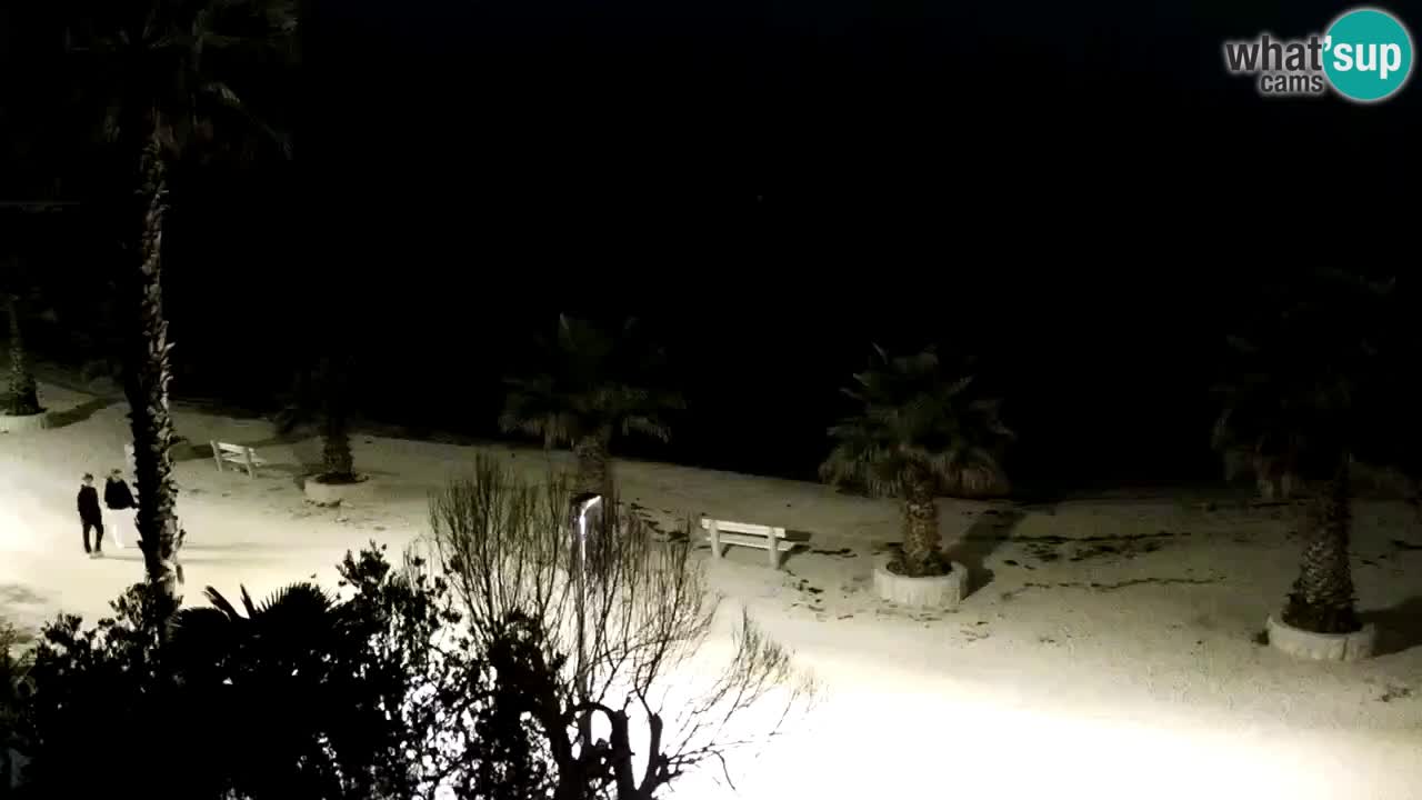 Live cam Vir – Plage