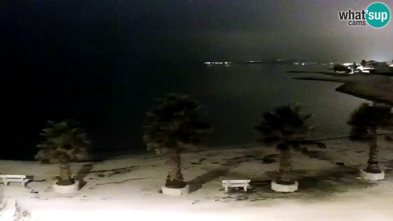 Live cam Vir – Plage