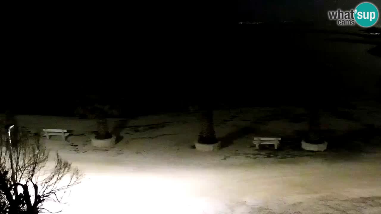 Webcam Vir – Strand