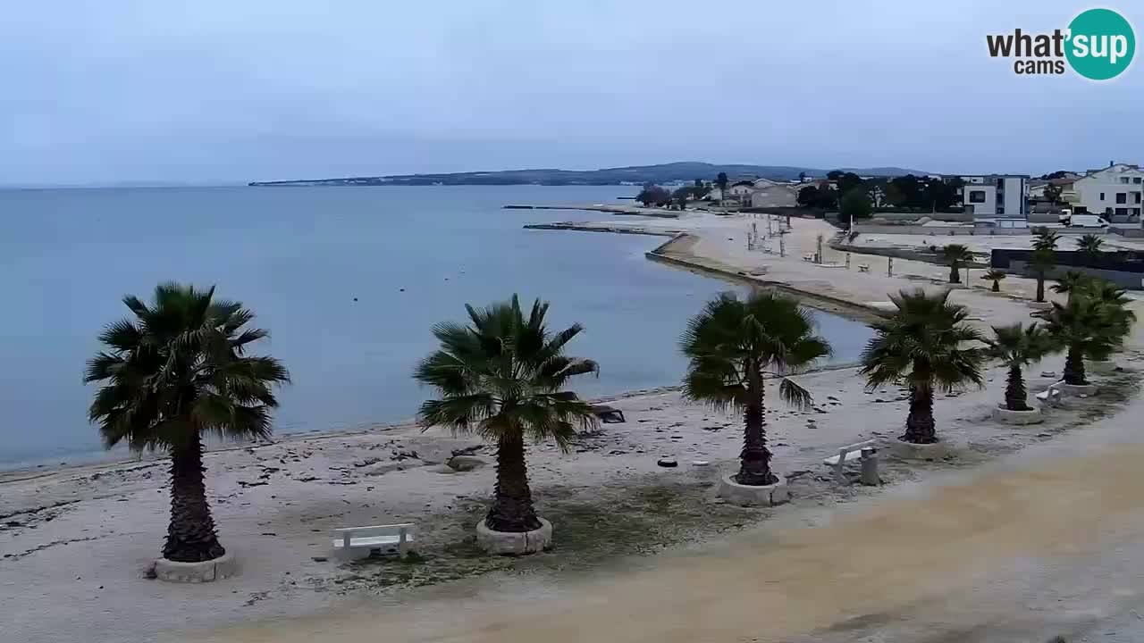 Live cam Vir – Plage