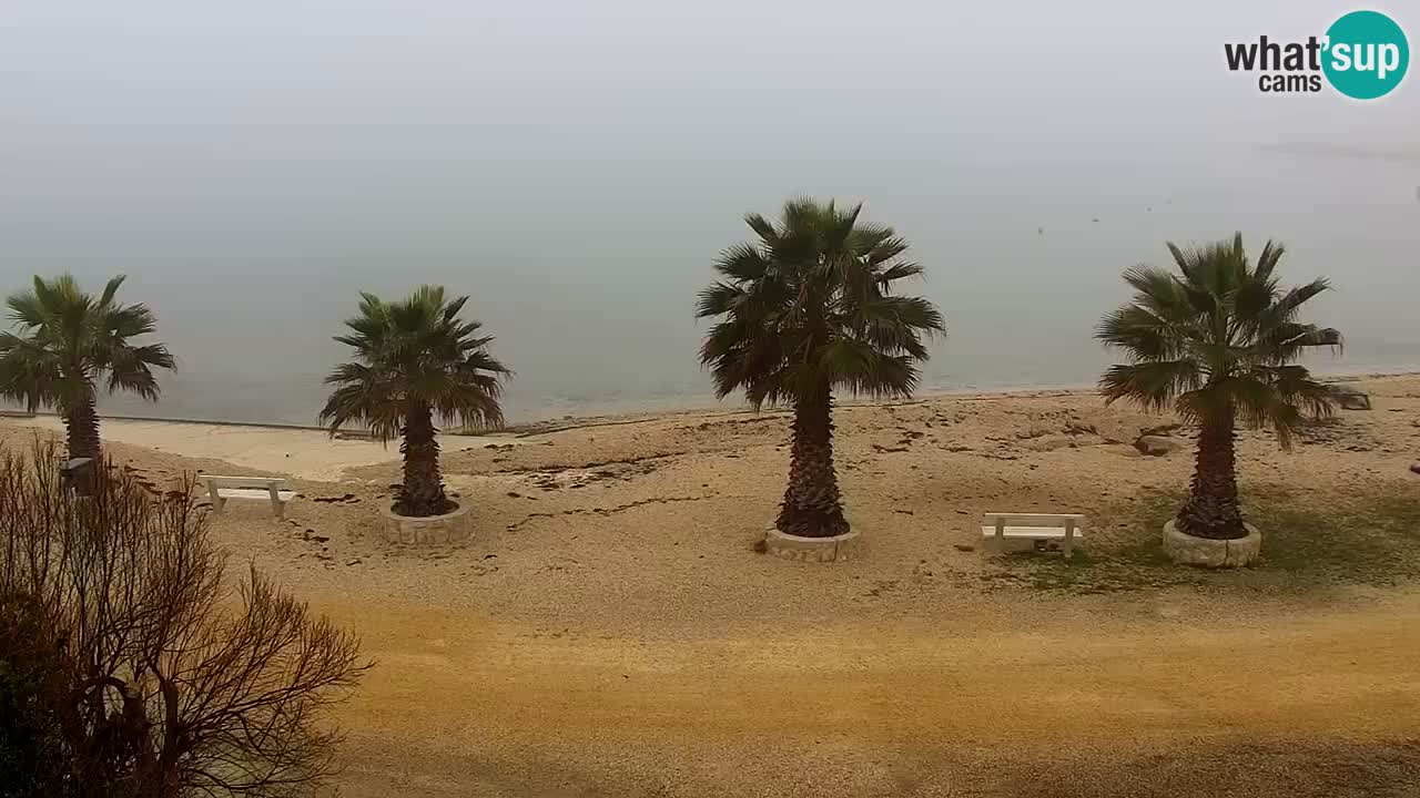 Live cam Vir – Plage