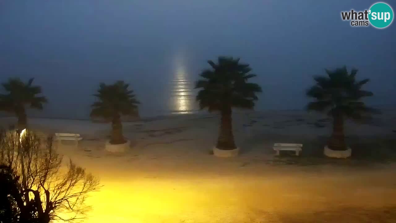 Live cam Vir – Plage