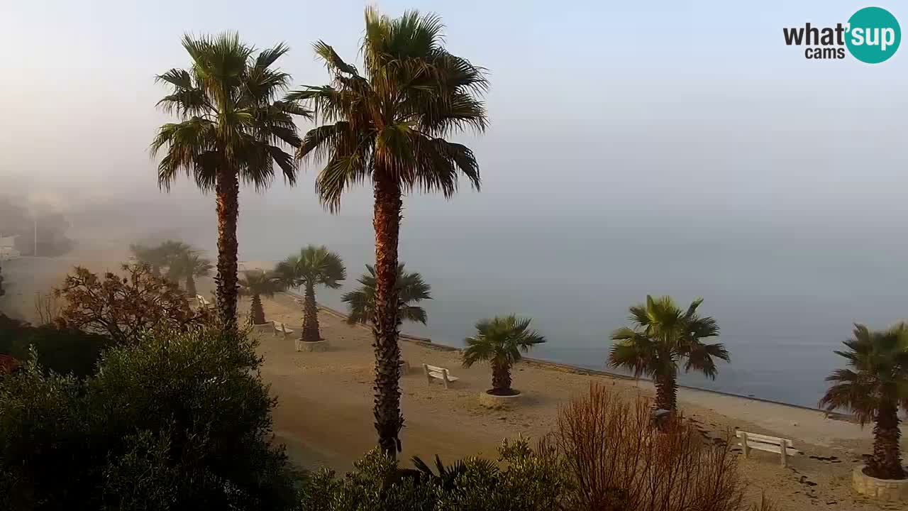 Live cam Vir – Plage