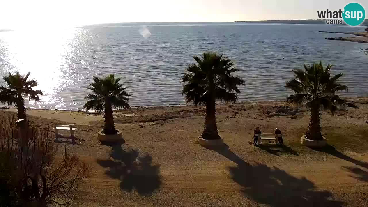 Live cam Vir – Plage