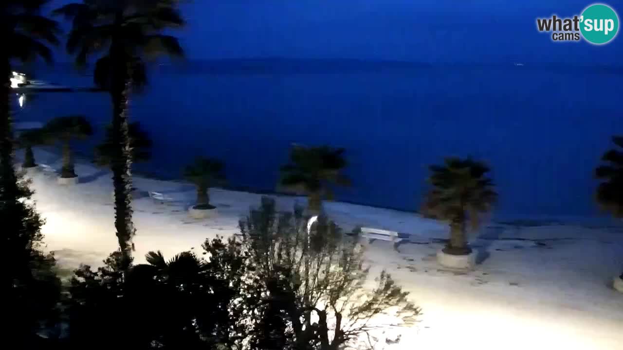 Live cam Vir – Plage