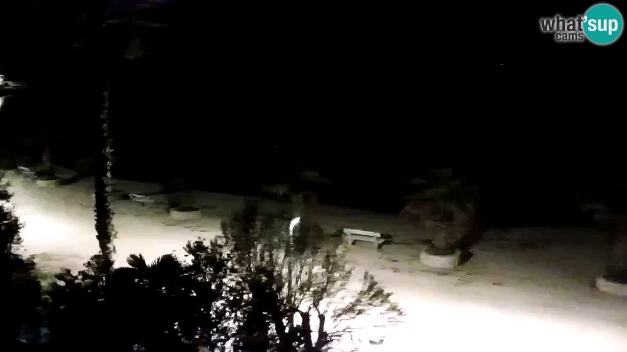 Web kamera Vir – Plaža