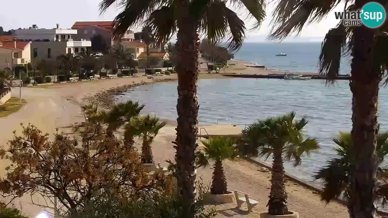 Kamera v živo Vir – Plaža