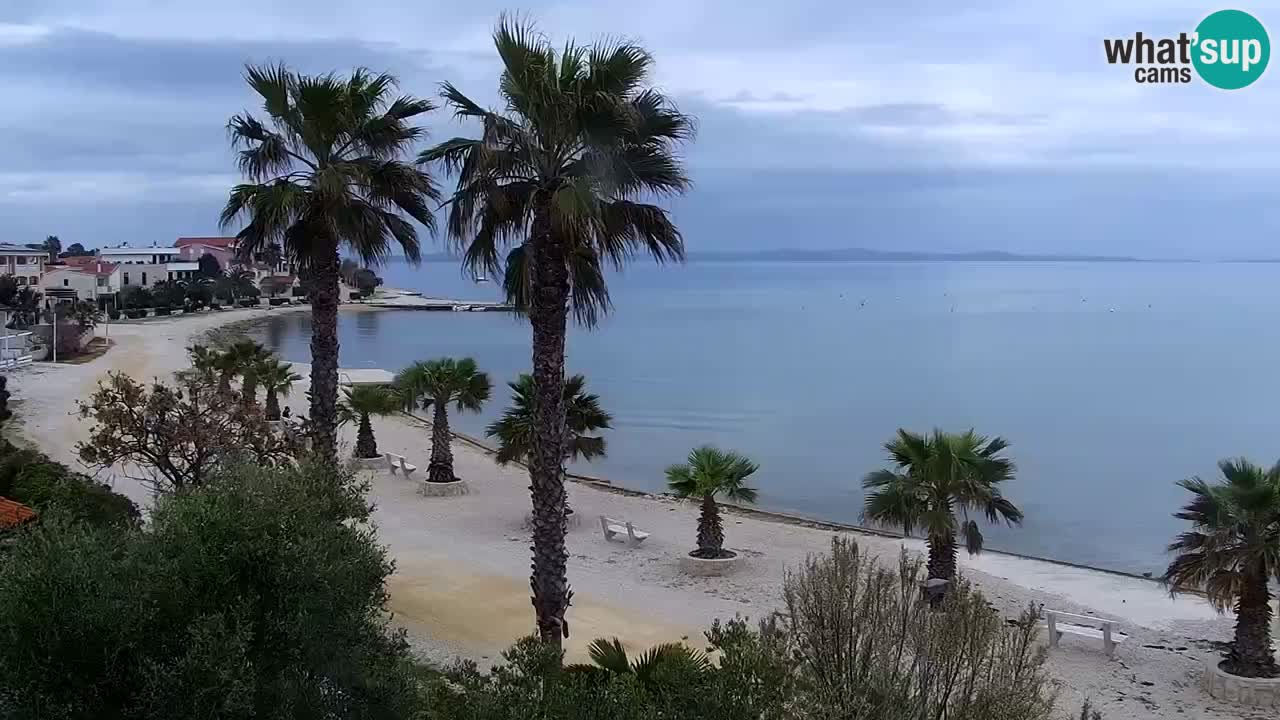 Webcam Vir – Strand