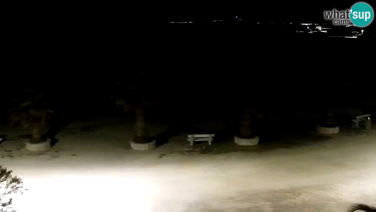 Kamera v živo Vir – Plaža