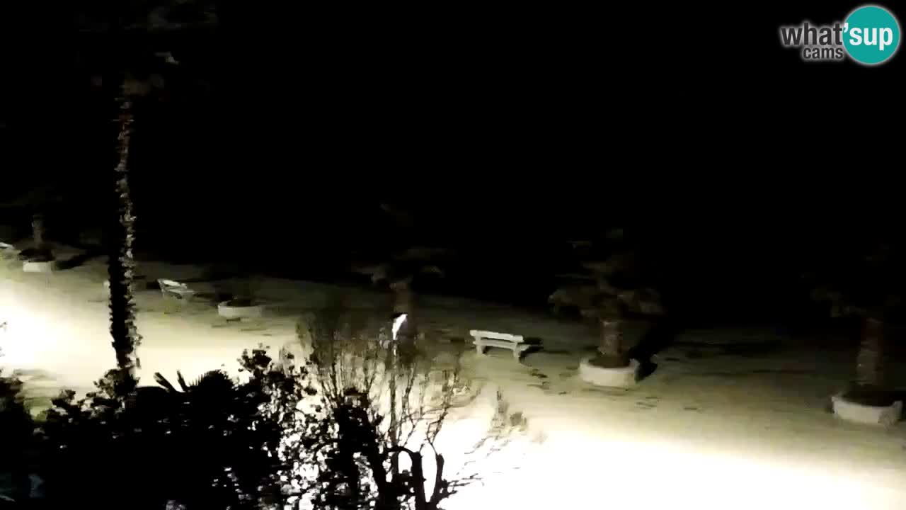 Kamera v živo Vir – Plaža