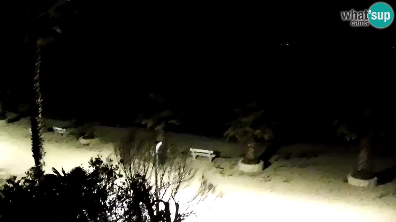 Webcam Vir – Strand