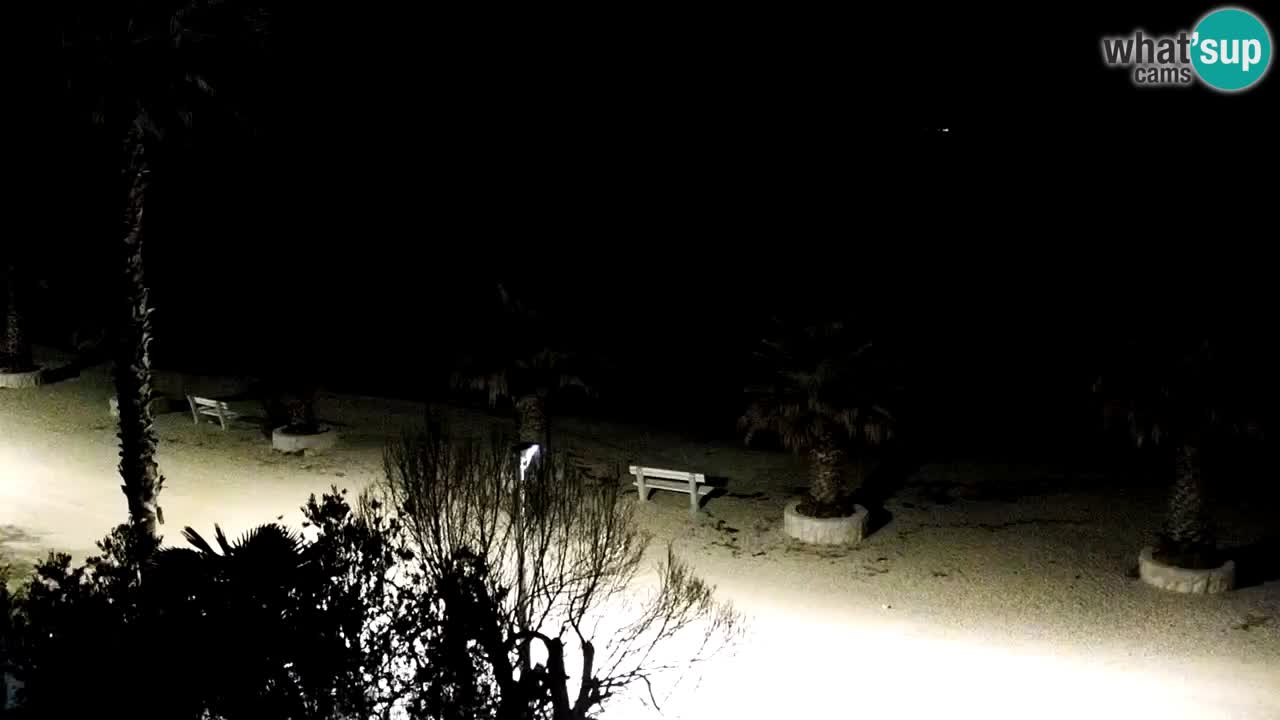 Live cam Vir – Plage