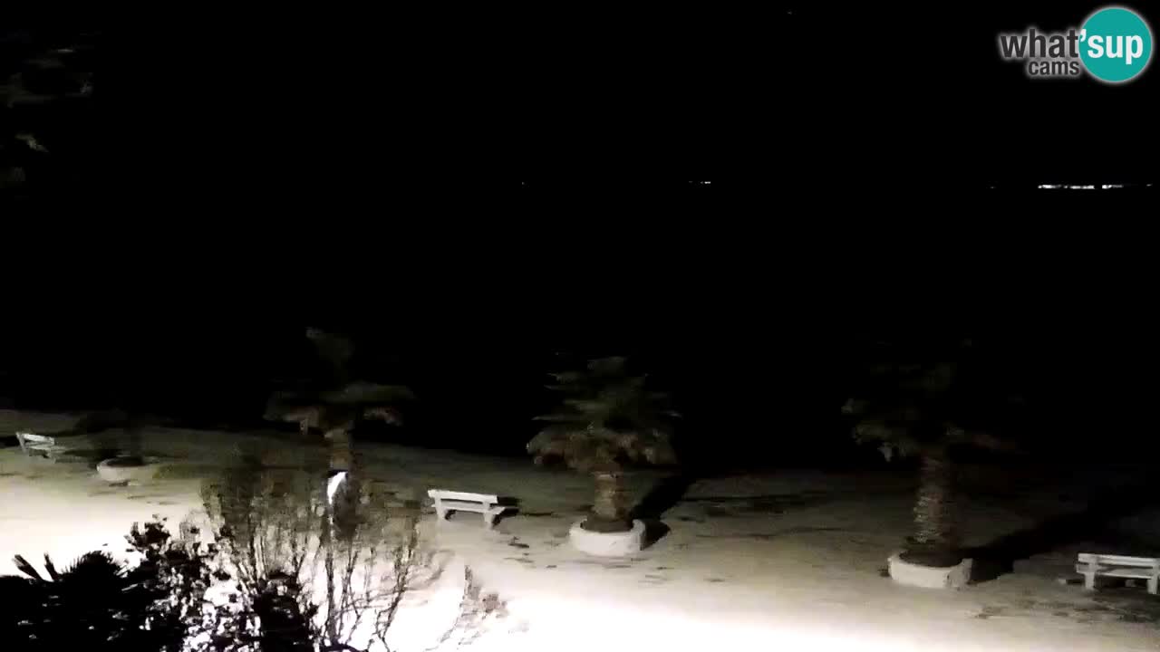 Live cam Vir – Plage