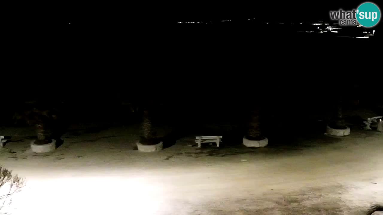 Webcam Vir – Strand