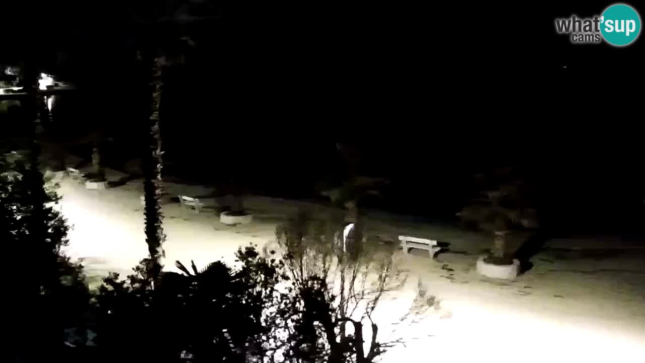 Kamera v živo Vir – Plaža