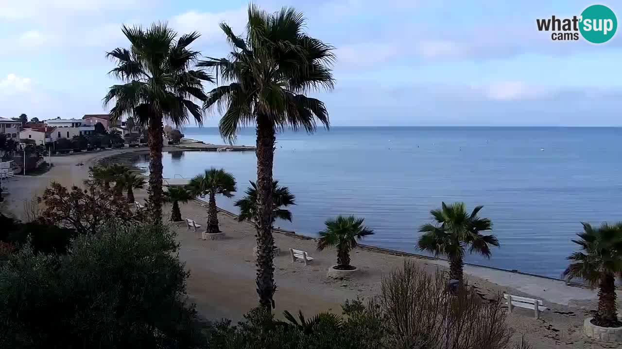 Webcam Vir – Strand
