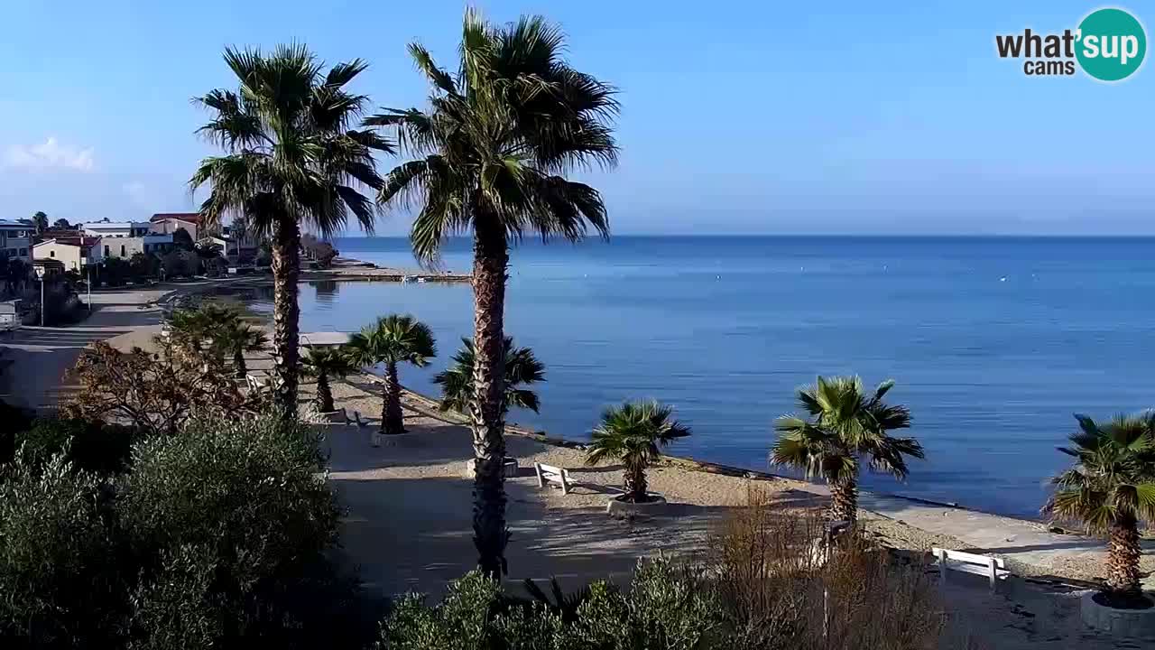 Live cam Vir – Plage