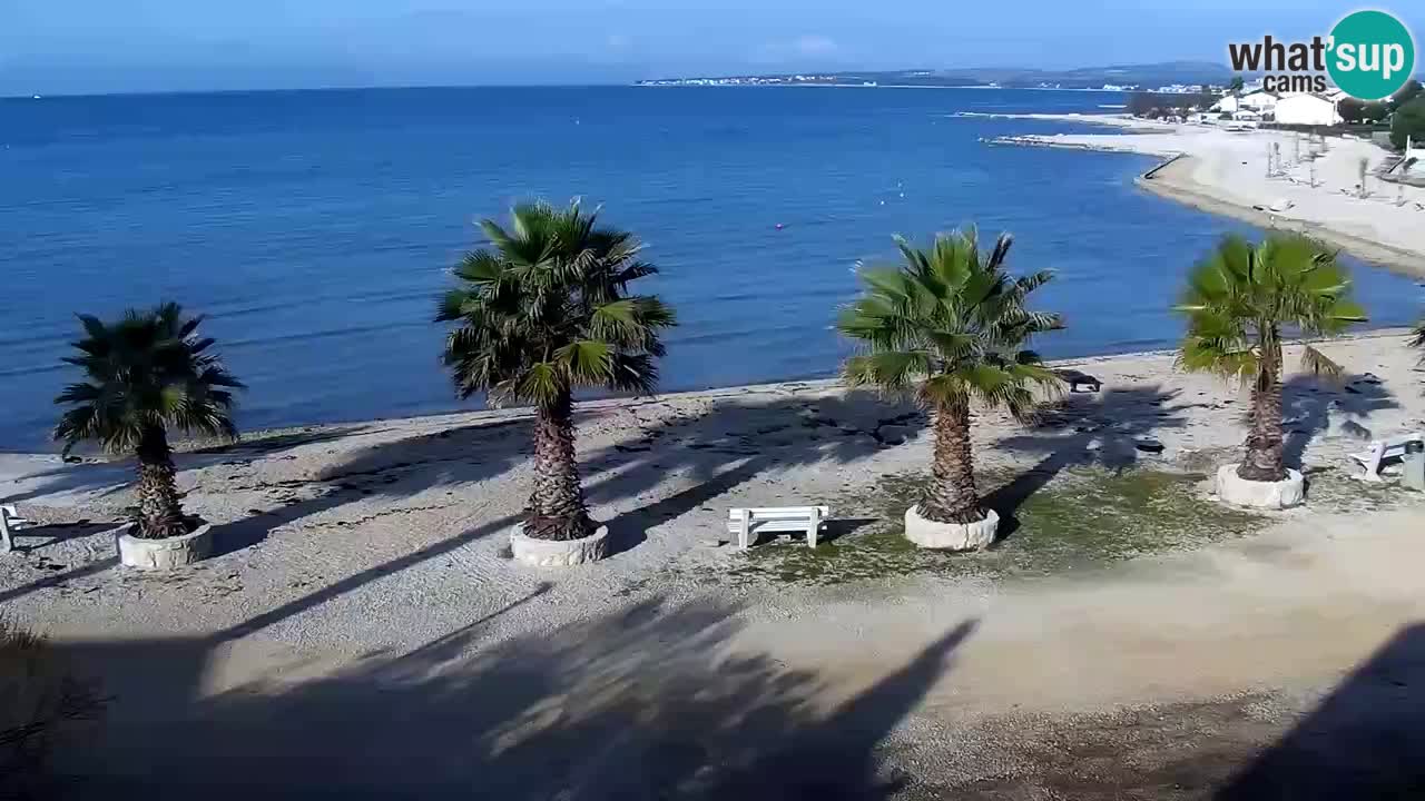 Live cam Vir – Plage