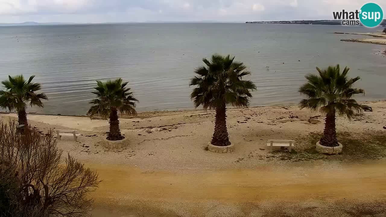 Live cam Vir – Plage