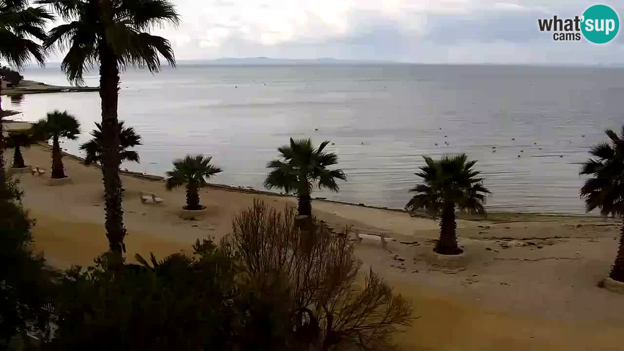 Webcam Vir – Spiaggia