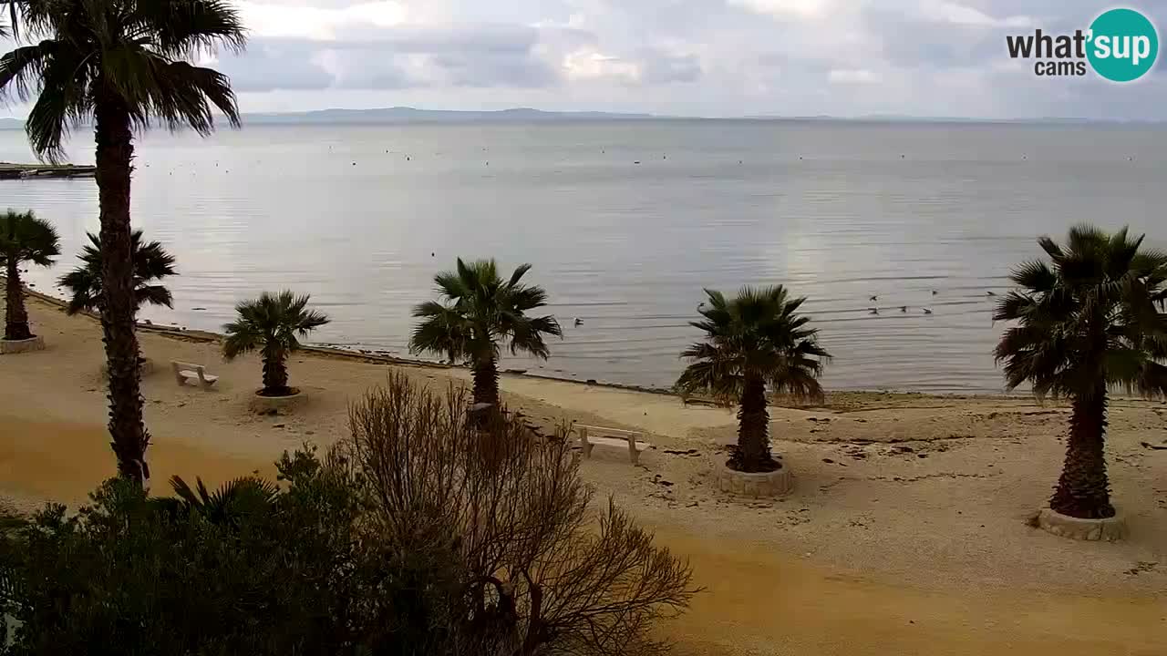 Web kamera Vir – Plaža