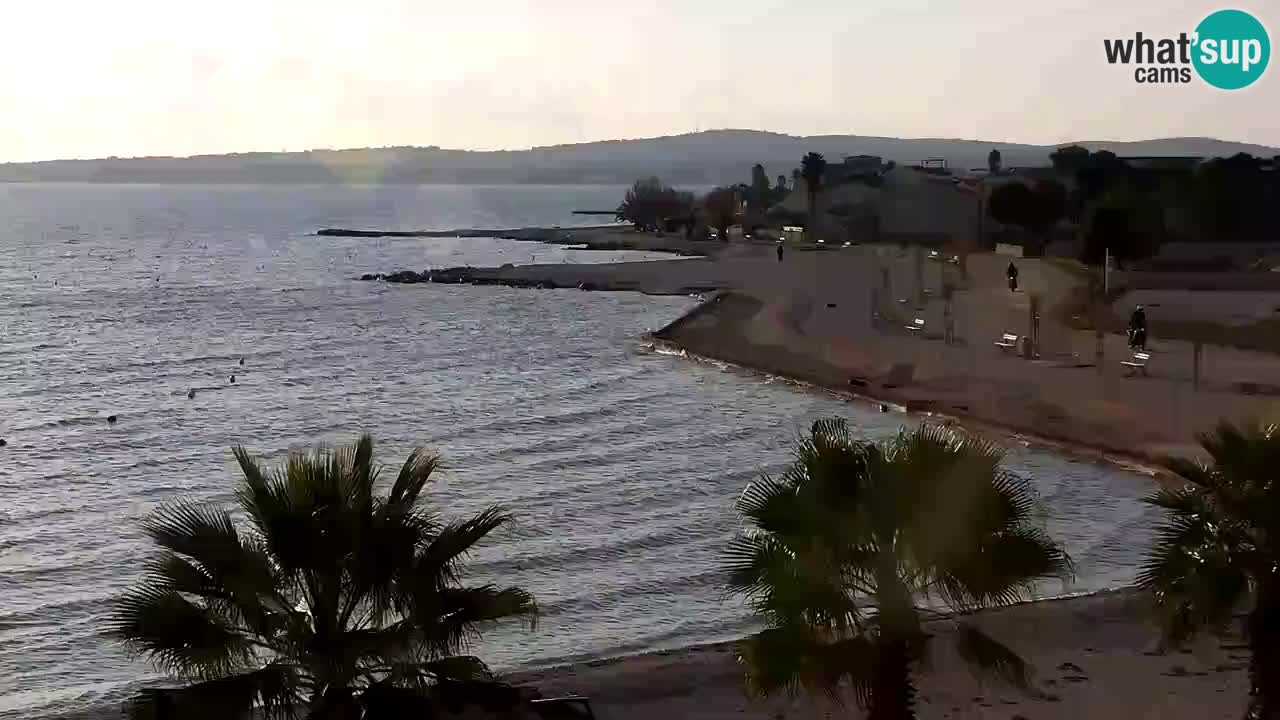 Live cam Vir – Plage