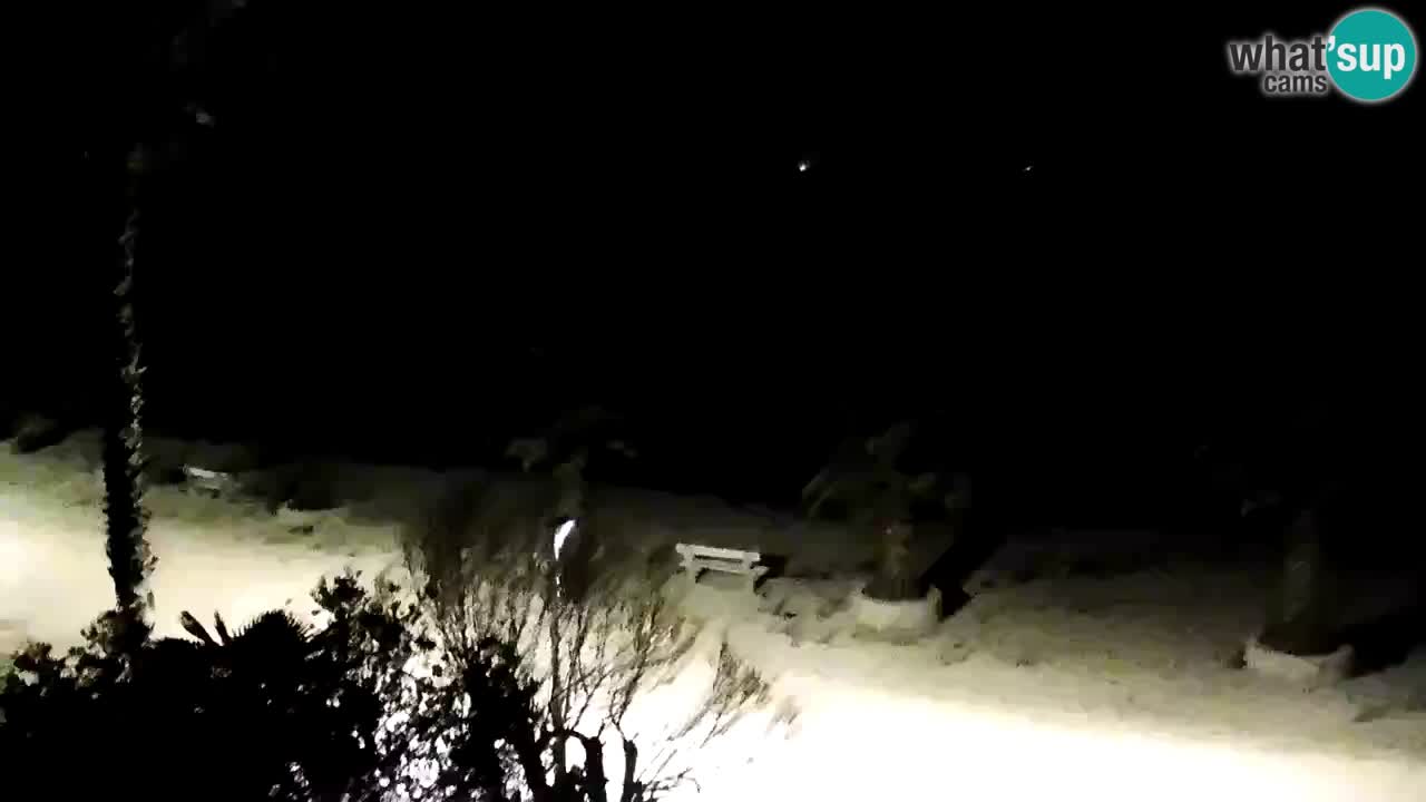 Live cam Vir – Plage