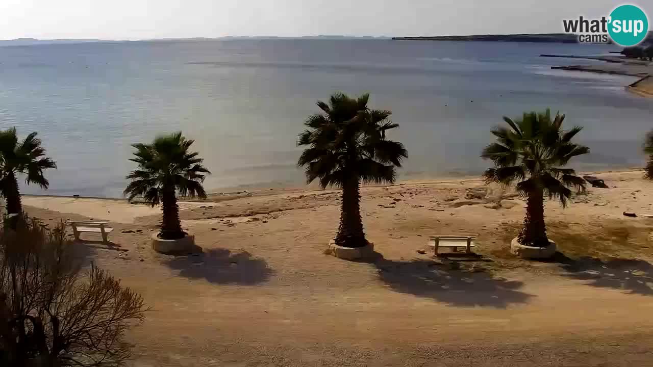 Live cam Vir – Plage