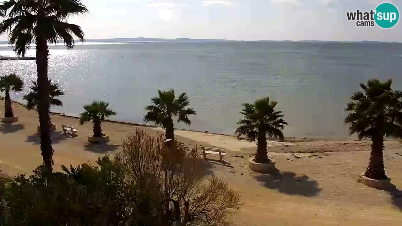 Live cam Vir – Plage