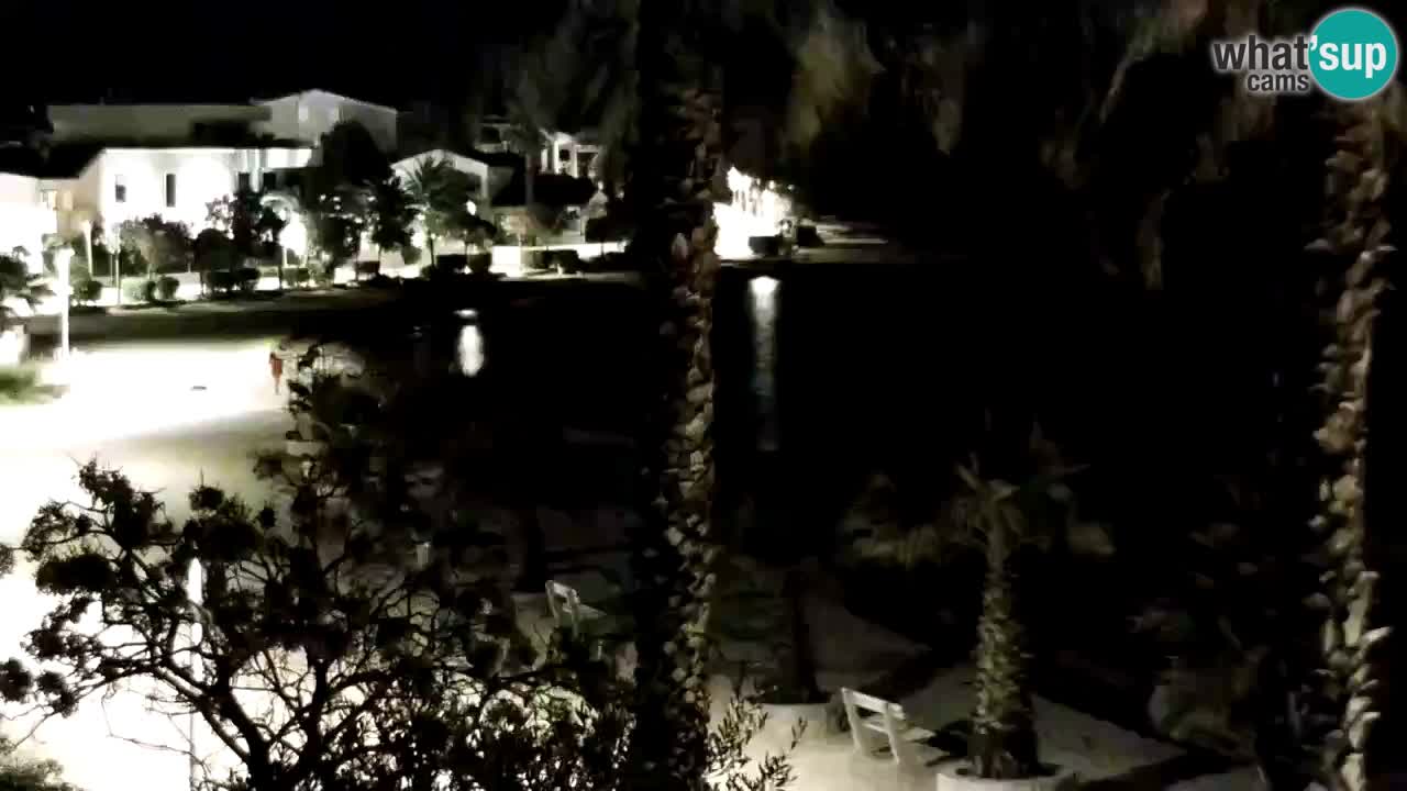 Live cam Vir – Plage