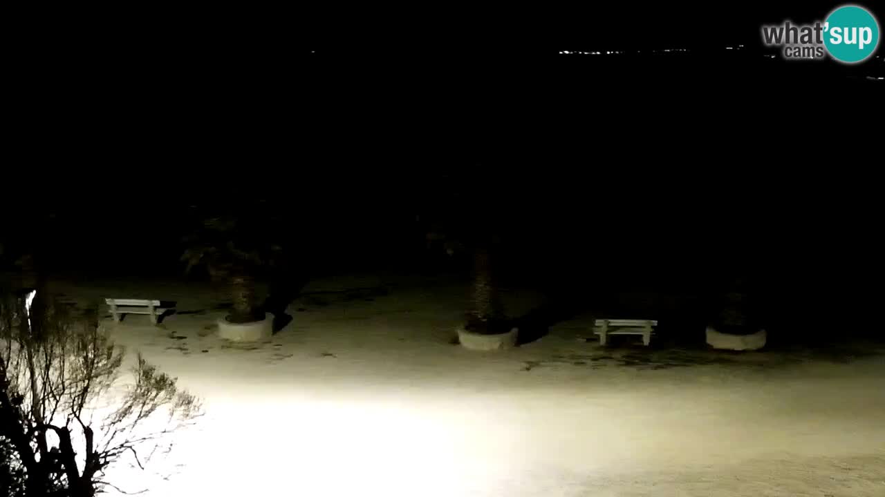 Live cam Vir – Plage