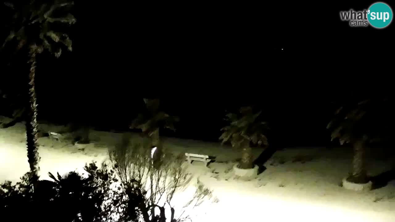 Live cam Vir – Plage