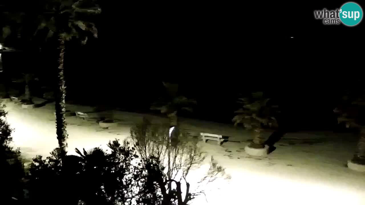 Live cam Vir – Plage