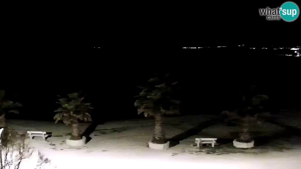 Live cam Vir – Plage