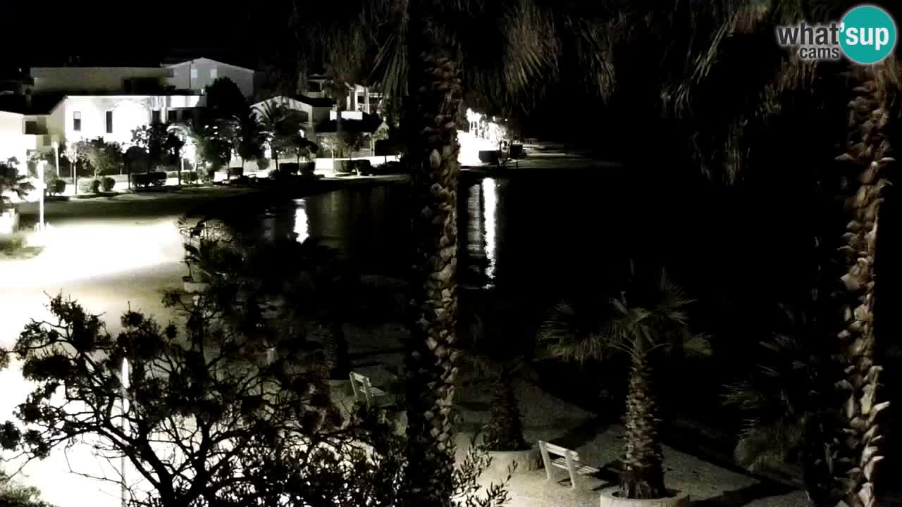 Live cam Vir – Plage